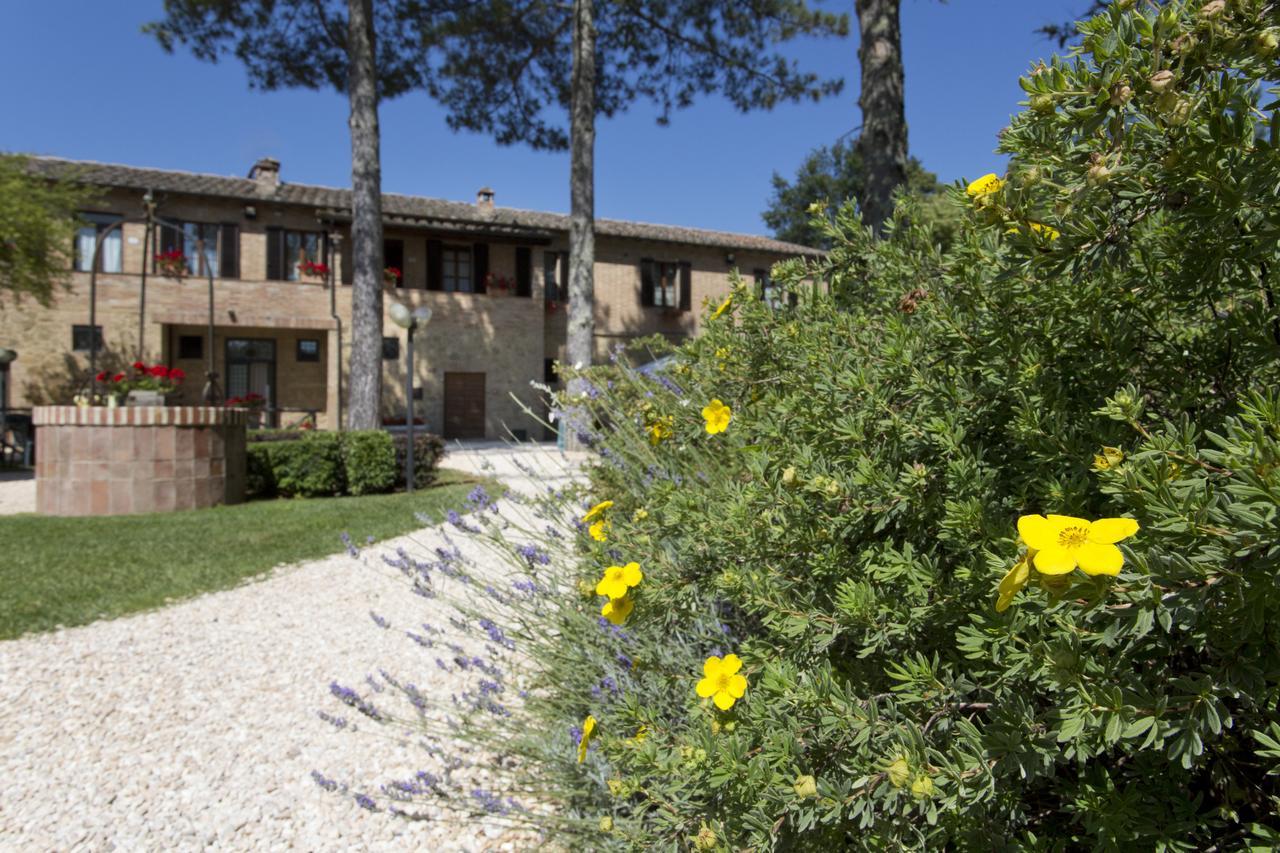 Casale San Galgano Lejlighedshotel Chiusdino Eksteriør billede
